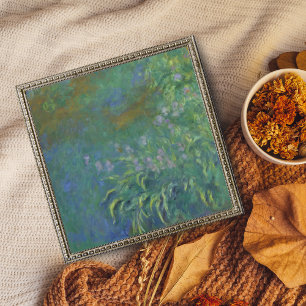 Vibrante irissen van Monet Foto Afdruk