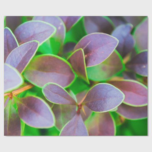 Vibrantgroene en paarse bladeren cadeaupapier (Vlak)