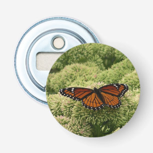Viceroy Butterfly Beauful Natuur Fotografie Button Flesopener