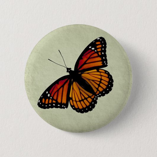Viceroy Butterfly Button (Voorkant)