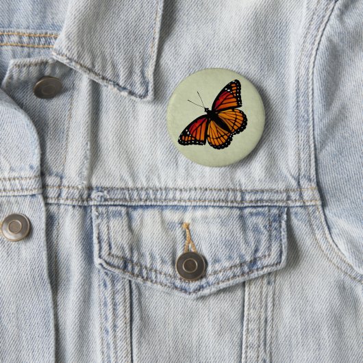 Viceroy Butterfly Button (In situ)