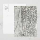 Vicksburg, Missouri Briefkaart (Voorkant / Achterkant)