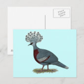 Victoria Crowned Pigeon Briefkaart (Voorkant / Achterkant)