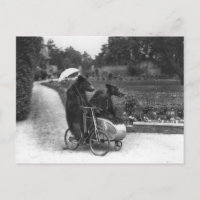 Victoriaans Bizarre Beren die Fiets berijden
