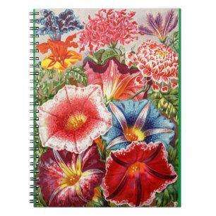 Victoriaans bloemenspiraal Notitieboek Morning Glo