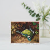  Victoriaans Briefkaart met dode vogels (Staand voorkant)