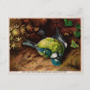 Victoriaans Briefkaart met dode vogels