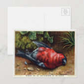 Victoriaans Dodelijke Kerstmis Briefkaart (Voorkant / Achterkant)