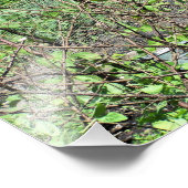 VICTORIAANS ENGLAND FOTO AFDRUK (Hoek)