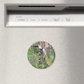 VICTORIAANS ENGLAND MAGNEET (Insitu (Vaatwasser))