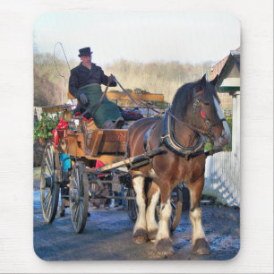 VICTORIAANS ENGLAND MUISMAT