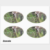 VICTORIAANS ENGLAND OVALE STICKER (Vel)