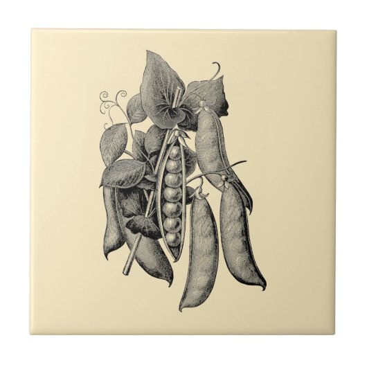 Victoriaans Era Fruit & Vegetable Peas Ad Tegeltje (Voorkant)