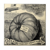  Victoriaans Era Fruit & Vegetable Pumpkin Ad Tegeltje (Voorkant)