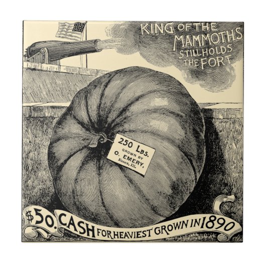 Victoriaans Era Fruit & Vegetable Pumpkin Ad Tegeltje (Voorkant)