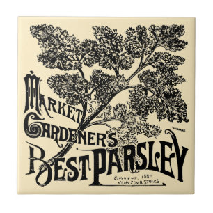  Victoriaans fruit en groenten — peterselie Tegeltje