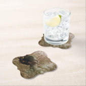 Victoriaans Ghost Lady-in-Waiting Kartonnen Onderzetters (Insitu)