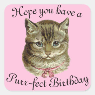 Victoriaans Happy Birthday Kat wil Vierkante Sticker