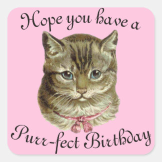 Victoriaans Happy Birthday Kat Wishes Vierkante Sticker