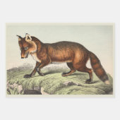 Victoriaans honden Prints Inpakpapier Vel (Voorkant 2)