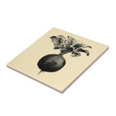  Victoriaans jaar groenten en fruit Tegeltje (Zijkant)