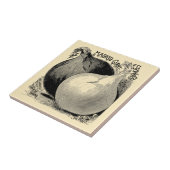 Victoriaans-jaarsareaal groenten en fruit Tegeltje (Zijkant)