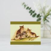 Victoriaans kittens briefkaart (Staand voorkant)
