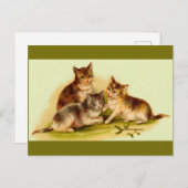 Victoriaans kittens briefkaart (Voorkant / Achterkant)