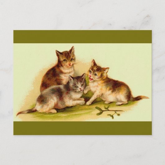 Victoriaans kittens briefkaart (Voorkant)