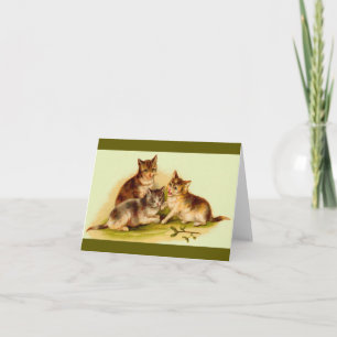 Victoriaans kittens notitiekaartje