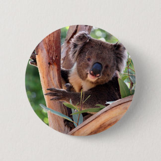 Victoriaans Koala Ronde Button 5,7 Cm