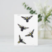 Victoriaans maanden briefkaart (Staand voorkant)