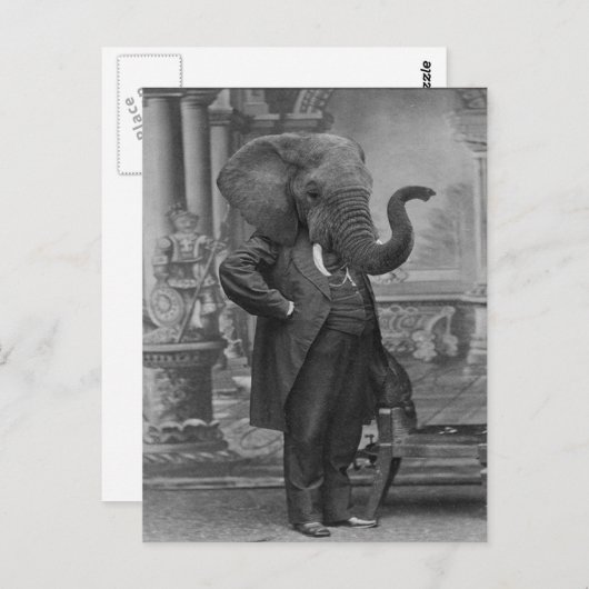  Victoriaans Man in Suit met Elephant Head Briefkaart (Voorkant / Achterkant)