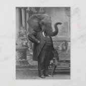  Victoriaans Man in Suit met Elephant Head Briefkaart (Voorkant)