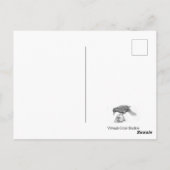 Victoriaans mediawisselaar Cat Briefkaart (Achterkant)