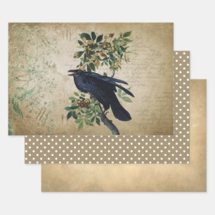 Victoriaans ontbinding van Raven - Gothic Realm Inpakpapier Vel