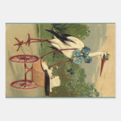 Victoriaans opslagplaats en Baby Inpakpapier Vel (Voorkant 2)