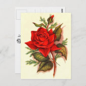 Victoriaans rode rozen Bouquet Briefkaart (Voorkant / Achterkant)