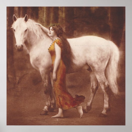 Victoriaans Romantisch meisje met witte stallion H Poster (Voorkant)