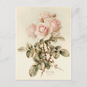 Victoriaans Romantische Rozen Briefkaart