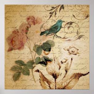 Victoriaans Roos Parijs Scripts franse vogelbotani Poster