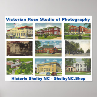 Victoriaans Roos Studio van het Poster van de Foto