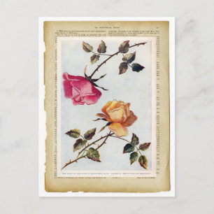 Victoriaans roze en gele rozen II Briefkaart
