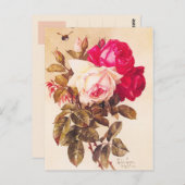  Victoriaans roze rode roze rozen Briefkaart (Voorkant / Achterkant)