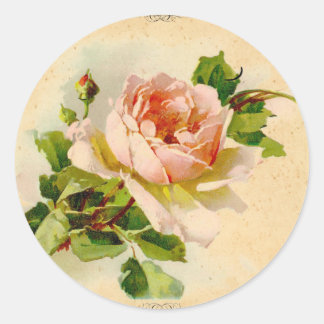 Victoriaans Roze Roos Ronde Sticker