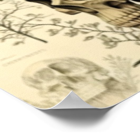 Victoriaans schedel en bodem poster (Hoek)