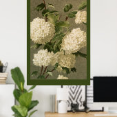 Victoriaans Style White Hydrangea Flowers Poster (Thuiskantoor)
