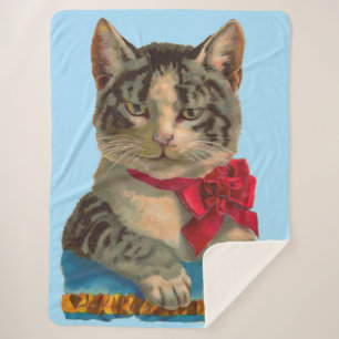 Victoriaans tabby kattenprint sherpa deken