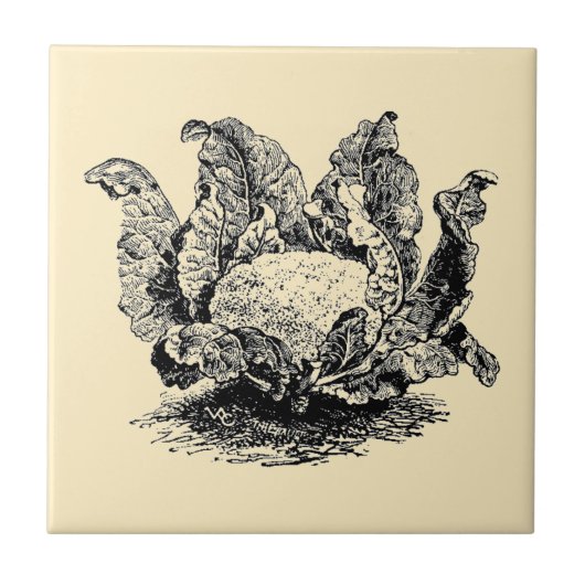  Victoriaans tijdperk Plantaardige bloemkool Tegeltje (Voorkant)