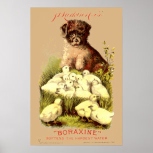 Victoriaans tijdperk puppy & Baby chicks zeep adve Poster